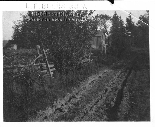 img-aisle_of_pines.1912.3.jpg