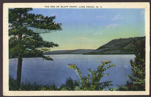 img-bluff_point.230.jpg