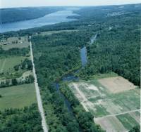 img-canal_aerial.4.jpg