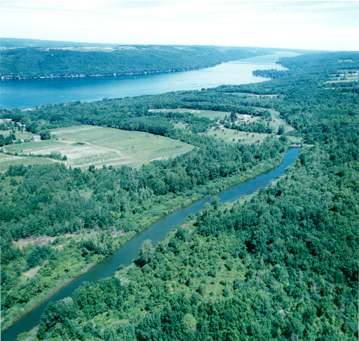 img-canal_aerial.6.jpg img-canal_aerial.6.jpg