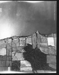 img-fairchild9372.jpg