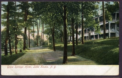 img-grove_springs_hotel.230.jpg img-grove_springs_hotel.230.jpg