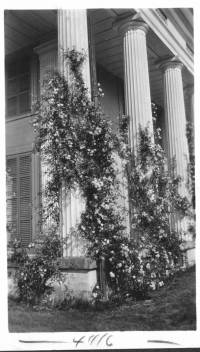 img-hallett_house.2.jpg img-hallett_house.2.jpg