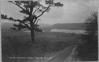 img-lamoka_from_tyrone.jpg