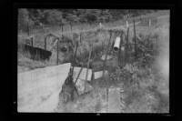 img-nyseg.1886.jpg