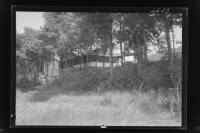 img-nyseg.2203.jpg