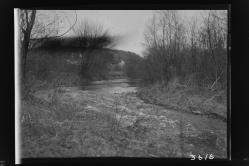 img-nyseg.3616.jpg