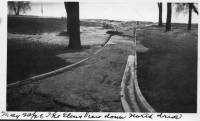 img-the_elms.12.jpg