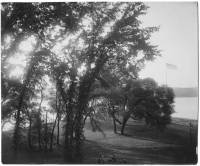 img-the_elms.14.jpg