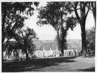 img-the_elms.1932.2.jpg
