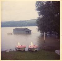 img-the_elms.3.jpg