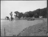 img-the_elms.5.jpg