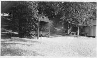 img-the_elms.6.jpg