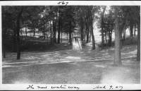 img-the_elms.8.jpg
