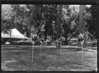 img-the_elms_house.16.jpg