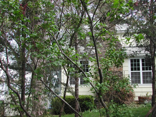 img-the_elms_house.211.jpg