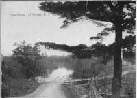 img-tobehanna_bridge.3c.jpg