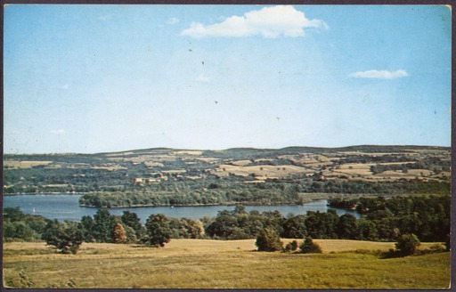 img-weller_island.jpg