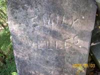 img-welles-louck_cemetery.2008.jpg
